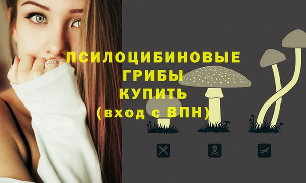 трава Волоколамск