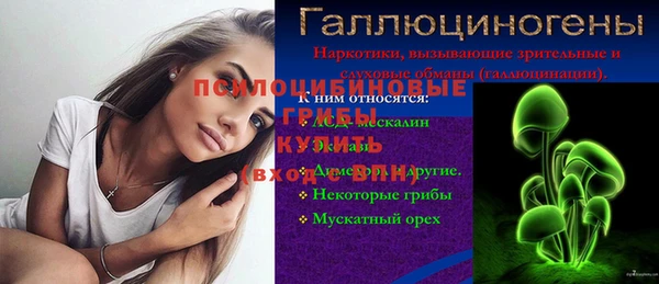 молекула духа Волосово