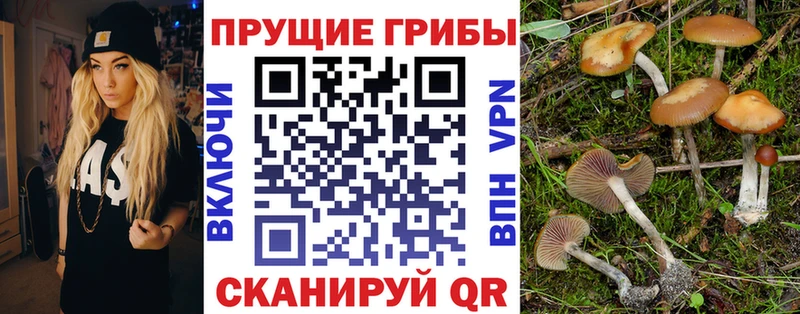 как найти закладки  Югорск  Галлюциногенные грибы GOLDEN TEACHER 
